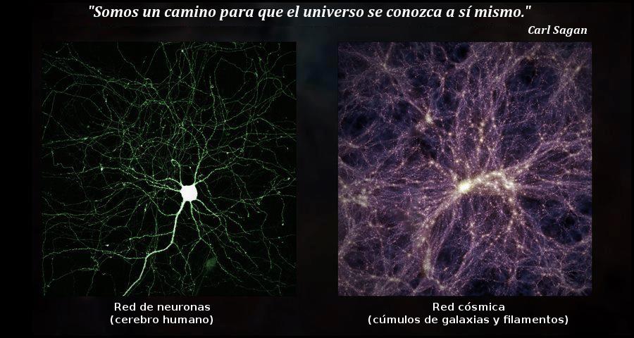 Diseño Inteligente de la Vida Red de neuronas Red cósmica